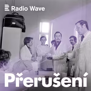 Ženy před komisí: Jak o interrupcích rozhodovali soudruzi?