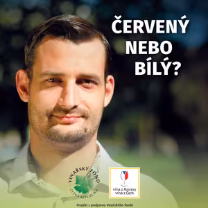 020: Jakub Přibyl o cestě od sportu na vrchol sommelierství a proč rozdával žluté karty