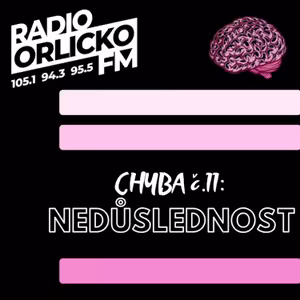 Chyba č.11 Nedůslednost