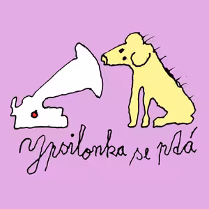 Ypsilonka se ptá: Tentokrát Jana Valy