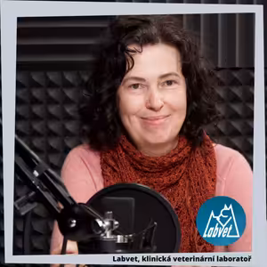 O blechách a klíšťatech