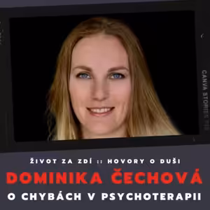 O CHYBÁCH V PSYCHOTERAPII - DOMINIKA ČECHOVÁ