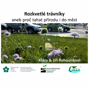 Přednáška - Rozkvetlé trávníky aneb proč tahat přírodu i do měst