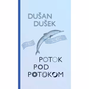 Potok pod potokom