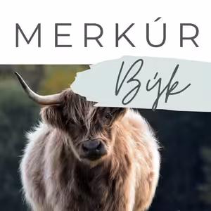 Merkúr v znamení Býka