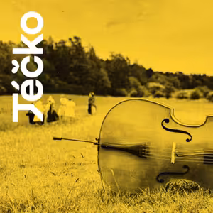 Folklorní hudební scéna Rožnova VII. – Mladé muziky