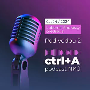 Pod vodou 2 (Ľubomír Andrassy, predseda NKÚ SR)