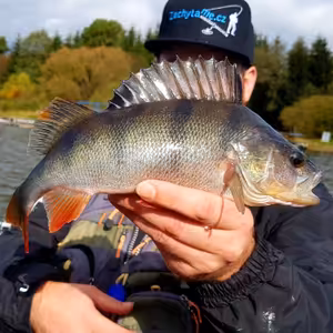 Základy vertikální přívlače