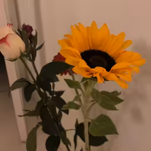 18.12 Konaj podľa usmernenia