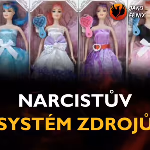 V jaké kategorii z narcistova systému zdrojů se nacházíte právě vy?