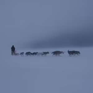 Scottova osudná volba