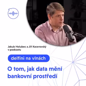 12: Bankovnictví založené na datech – Jak data mění bankovní prostředí?