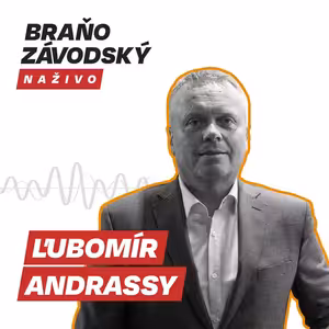 V parlamente je podľa šéfa NKÚ Ľubomíra Andrassyho legislatívna džungľa