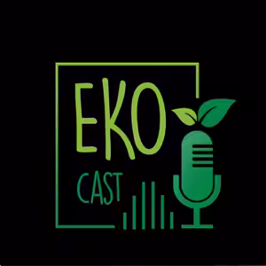 Prečo je projekt LIDO v Bratislave považovaný za problematický a aké výzvy prináša jeho realizácia? (Ekocast)