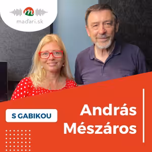 András Mészáros, filozof