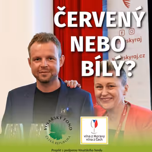 008: Jak o víně přemýšlí Roman Fabig