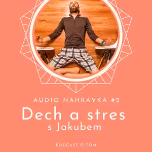Vědomé zastavení - 2. nahrávka (práce s dechem a uvolnění od stresu)