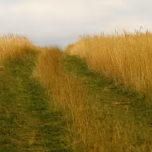 Piatok po 2. veľkonočnej nedeli