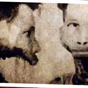 Z Tohohle Léku Se Stala Noční Můra #NocniMura