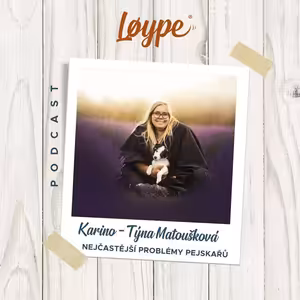 129 | Nejčastější problémy pejskařů | Karino - Týna Matoušková
