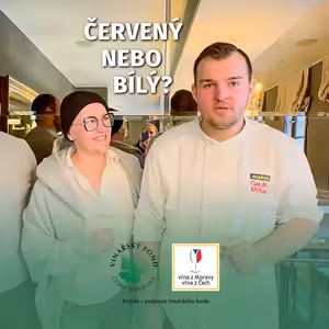 039: Zdeněk Kroupa a Lukáš Jídlovec z Šupiny a Šupinky o kombinování vína s našimi rybami a vyhlášených kapřích hranolcích