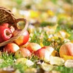 HOROSKOPY: Blíženci, vaše dobrá nálada okouzlí každého, s kým se dnes potkáte