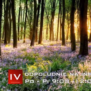 Dopoludnie na InfoVojne s Adrianom 23.4.2026