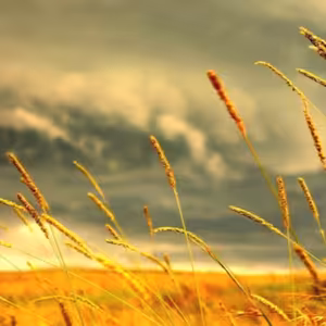 Dopoludnie na InfoVojne s Adrianom 19.8.2025