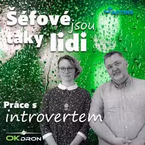 Introvert v týmu: Jak pracovat s introvertem?