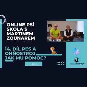 #14 Pes a ohňostroj