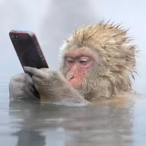 AI, AI, AI! Naturální primitiv ve světě moderní technologie a umělé inteligence