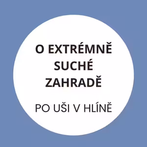 Sucho ničí zahrady aneb inspirace z jižní Moravy