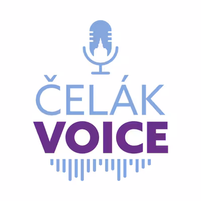 ČelákVOICE