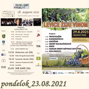 Verejné tajomstvá 277 - 2021-08-23 Ako sa rodí festival - Levice žijú vínom