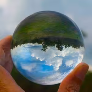 SENDVIČ (Svet naruby)