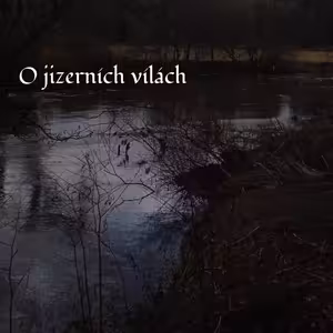 O jizerních vílách