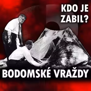 Případ Bodomských vražd
