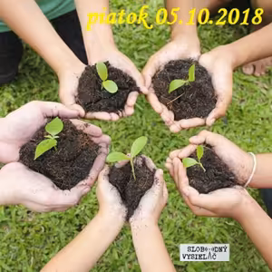 Riešenia a alternatívy 88 - 2018-10-05 Vízia mestského kmeňa