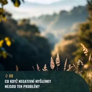 #88 Co když negativní myšlenky nejsou ten problém?