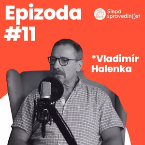 Vladimír Halenka – Kariéru generála ukončila policejní razie