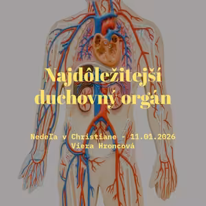 Najdôležitejší duchovný orgán - Viera Hroncová