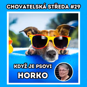 🐶 Když je PSOVI HORKO 🐶 | Chovatelská středa #29