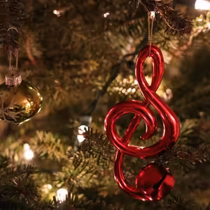 Vinyly, vstupenky i pochutiny. Tipy na vánoční dárky pro milovníky hudby