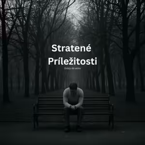 # 268 Stratené príležitosti: Čo sa z nich môžeme naučiť?