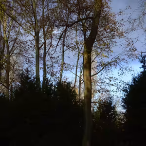 19.12 Boh nás nenechá v hanbe