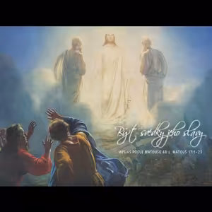 Mesiáš podle Matouše 48 - Být svědky jeho slávy - Bohuslav Wojnar (10.11.2013)