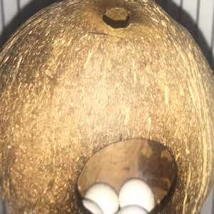 Karanténní karamelky - Petr Turecký & Jana Turecká