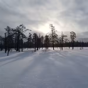 Ešus 27/3/2023: Diana a Finsko