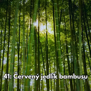 41: Červený jedlík bambusu