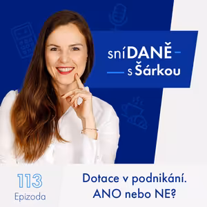 113: Dotace v podnikání. ANO nebo NE?